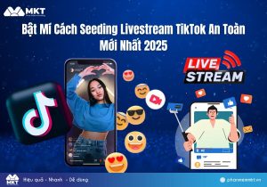 Bật Mí Cách Seeding Livestream TikTok An Toàn Mới Nhất 2025